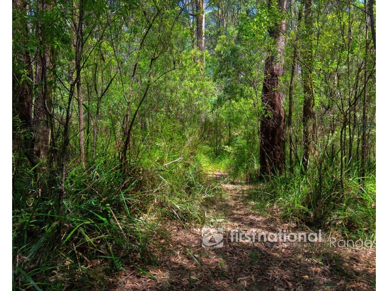 2780 Gembrook-Launching Place Road, Gembrook VIC 3783