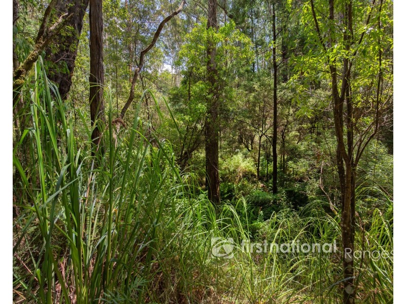 2780 Gembrook-Launching Place Road, Gembrook VIC 3783
