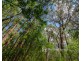 2780 Gembrook-Launching Place Road, Gembrook VIC 3783