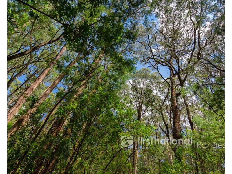 2780 Gembrook-Launching Place Road, Gembrook VIC 3783