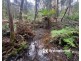 2780 Gembrook-Launching Place Road, Gembrook VIC 3783