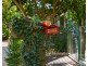2087 Wellington Road, Clematis VIC 3782