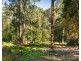 7 Colin Avenue, Belgrave VIC 3160