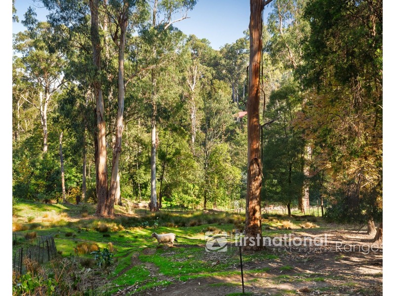 7 Colin Avenue, Belgrave VIC 3160