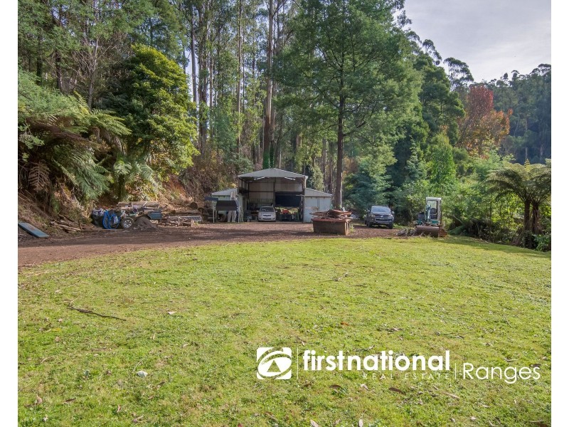 176 MONBULK ROAD, Kallista VIC 3791
