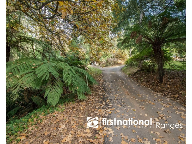 176 MONBULK ROAD, Kallista VIC 3791