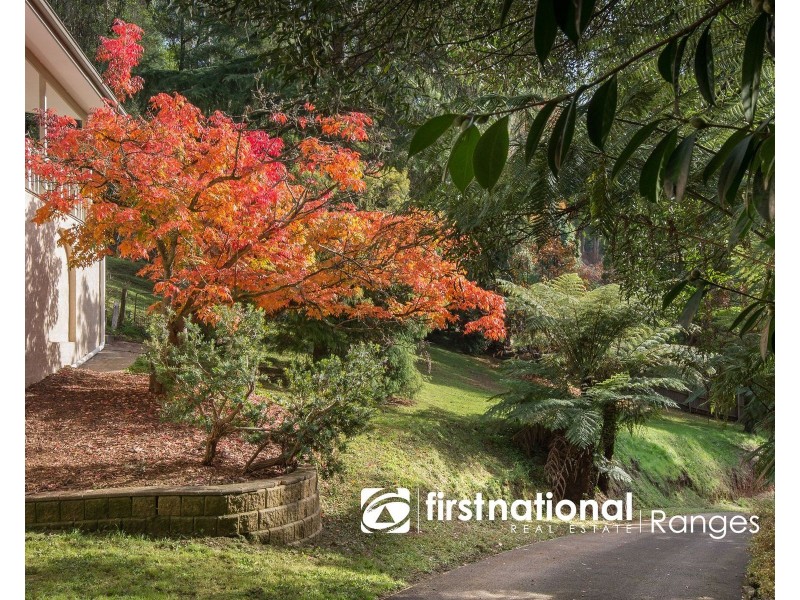 176 MONBULK ROAD, Kallista VIC 3791