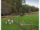 1475 Pakenham Road, Mount Burnett VIC 3781
