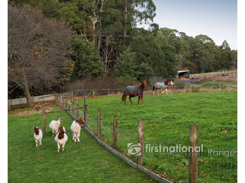 1475 Pakenham Road, Mount Burnett VIC 3781