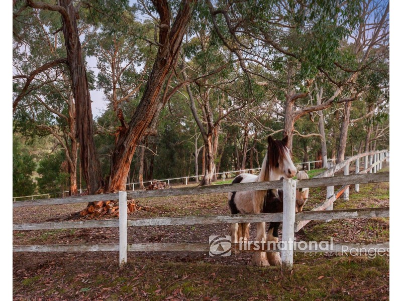14 Coopers Road, Macclesfield VIC 3782