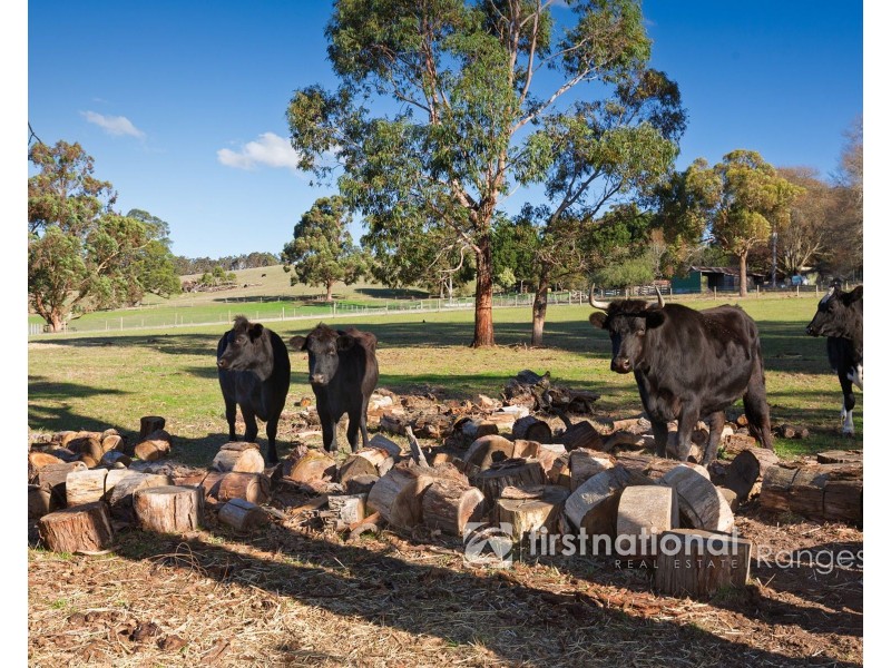 450 Woori Yallock Road, Cockatoo VIC 3781