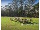 450 Woori Yallock Road, Cockatoo VIC 3781