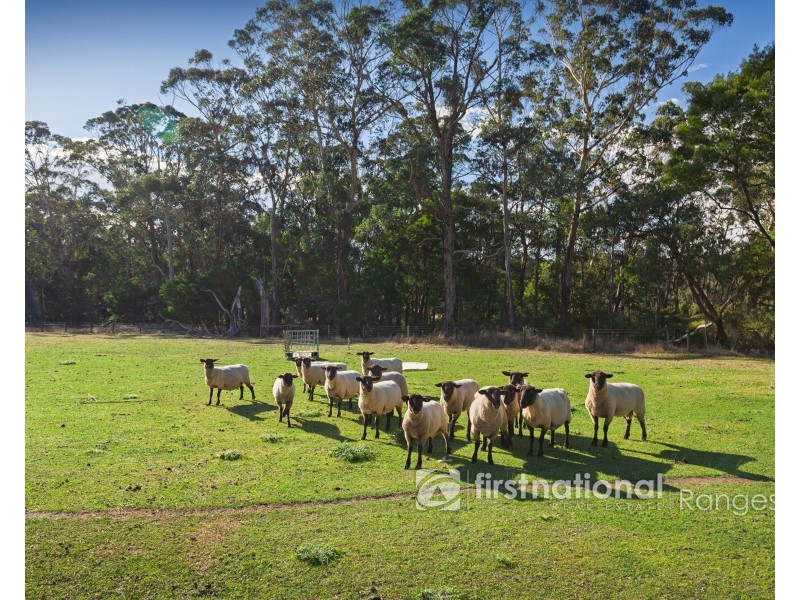 450 Woori Yallock Road, Cockatoo VIC 3781