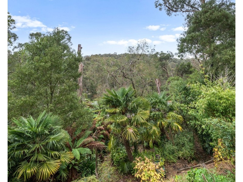 14 Byrne Street, Belgrave VIC 3160