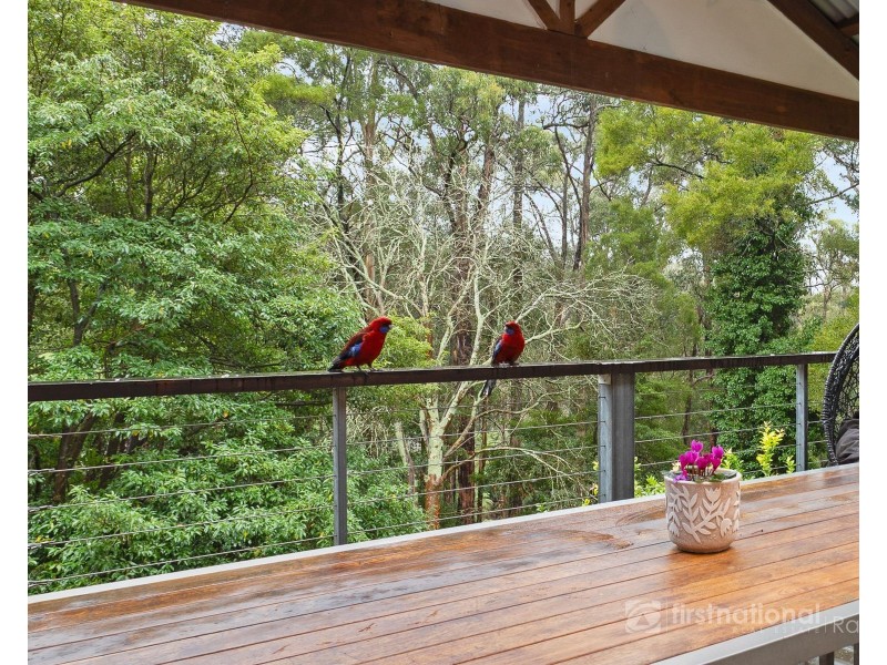15 Peters Road, Belgrave VIC 3160