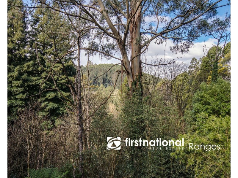 1 Warwick Farm Road, Olinda VIC 3788