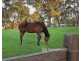 41 Tschampions Road, Macclesfield VIC 3782