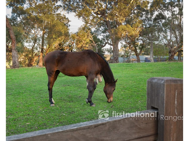 41 Tschampions Road, Macclesfield VIC 3782