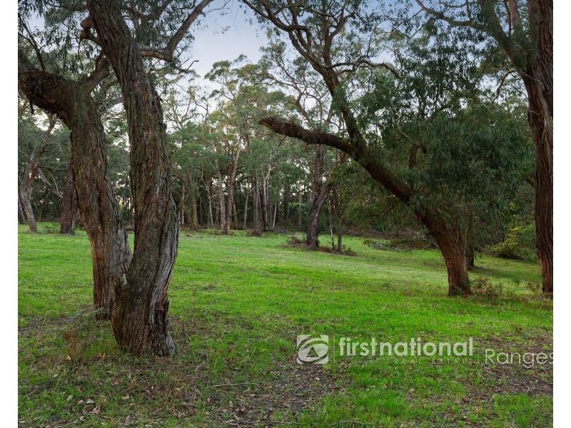41 Tschampions Road, Macclesfield VIC 3782