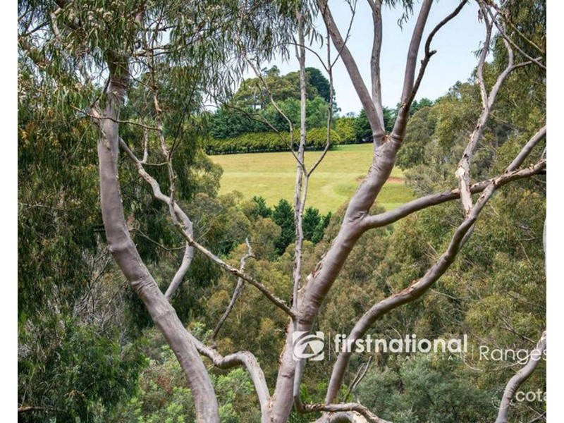 28 Hunter Street, Monbulk VIC 3793