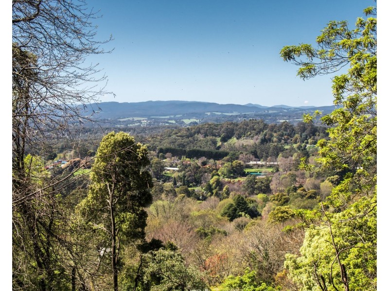 13 Dalmonte Grove, Kallista VIC 3791