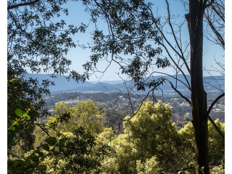 13 Dalmonte Grove, Kallista VIC 3791
