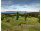 575 Sheepstation Creek Road, Hoddles Creek VIC 3139