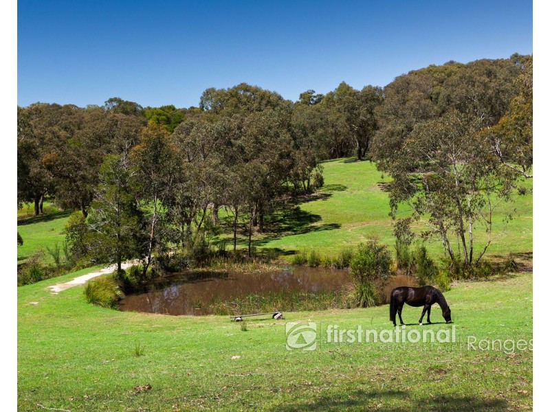 11 Cherry Road, Macclesfield VIC 3782