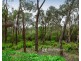 50 Bedford Road, Cockatoo VIC 3781