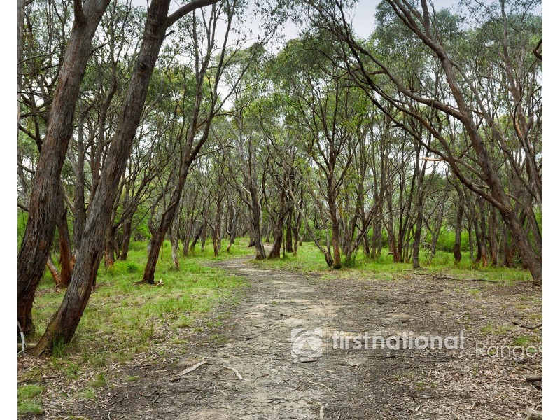 50 Bedford Road, Cockatoo VIC 3781