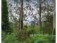 10 Titania Crescent, Tremont VIC 3785