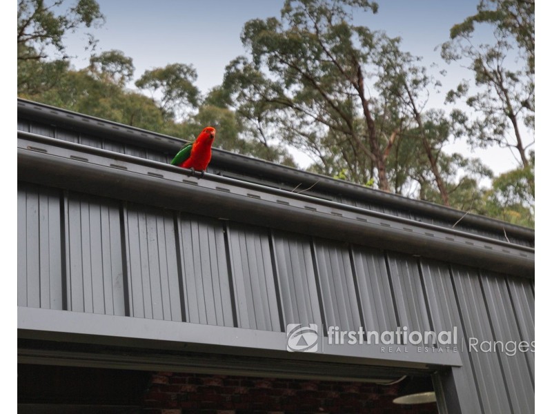 10 Salisbury Avenue, Cockatoo VIC 3781