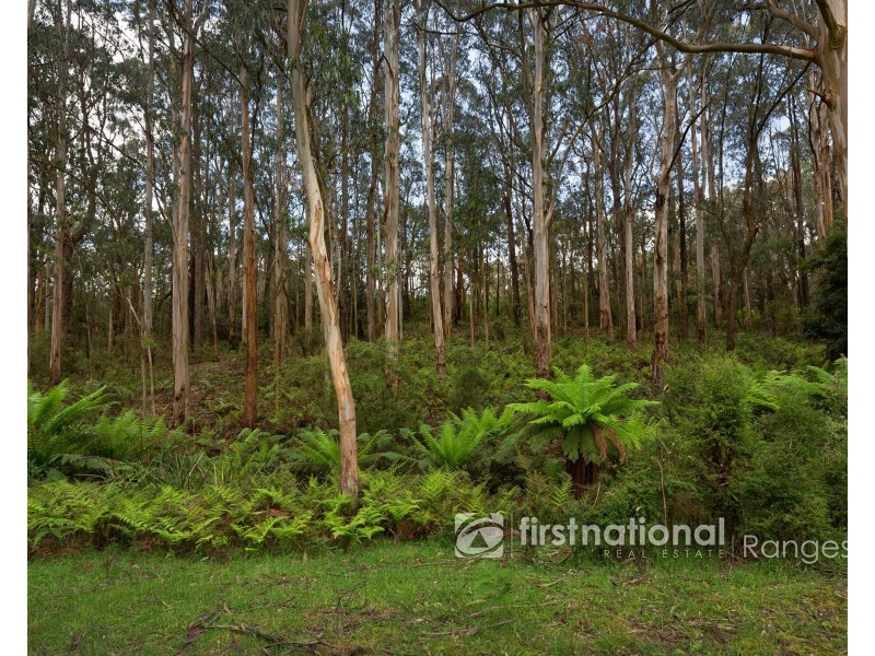171 Stewart Road, Emerald VIC 3782