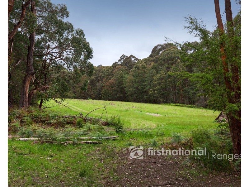 171 Stewart Road, Emerald VIC 3782