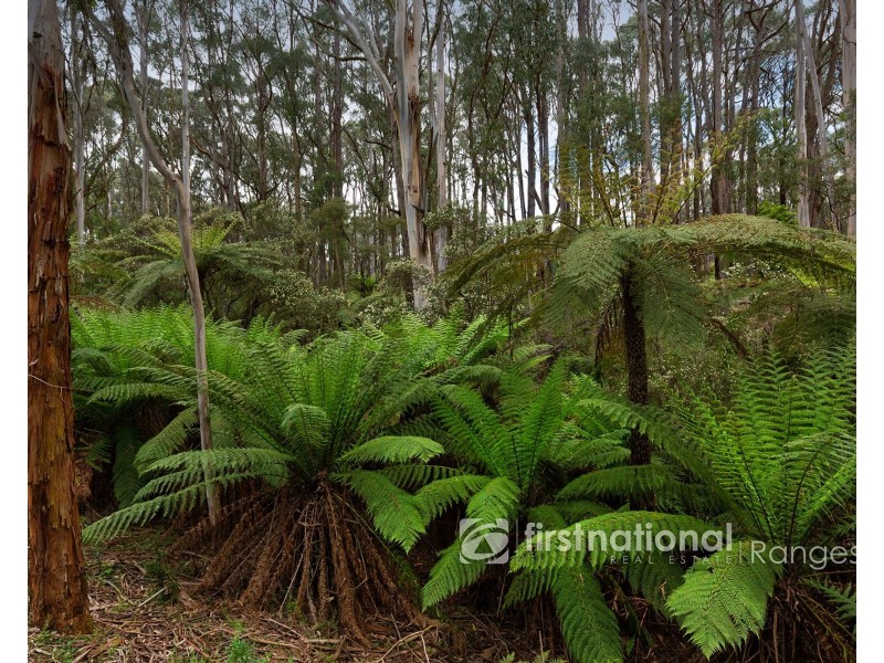 171 Stewart Road, Emerald VIC 3782