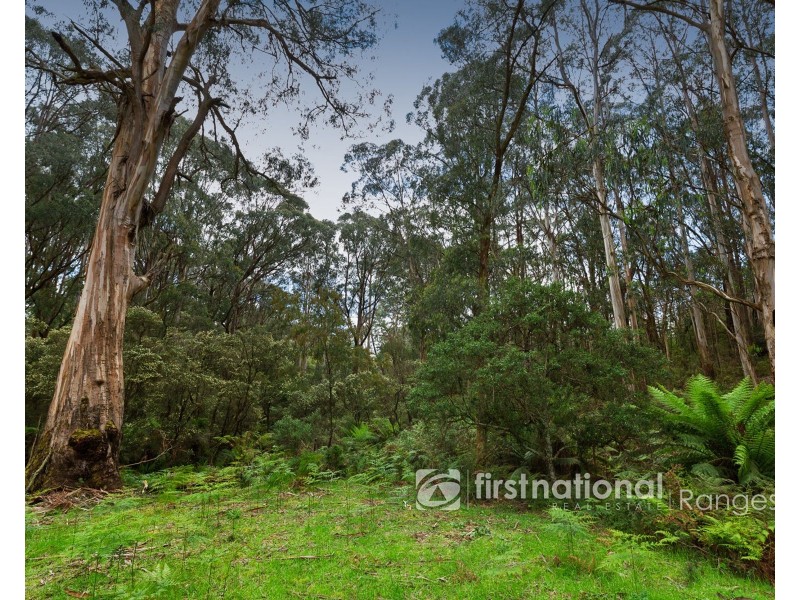 171 Stewart Road, Emerald VIC 3782