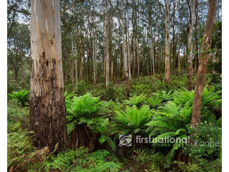 171 Stewart Road, Emerald VIC 3782