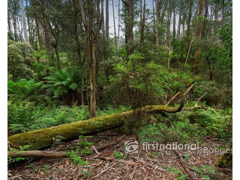 171 Stewart Road, Emerald VIC 3782