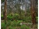 171 Stewart Road, Emerald VIC 3782