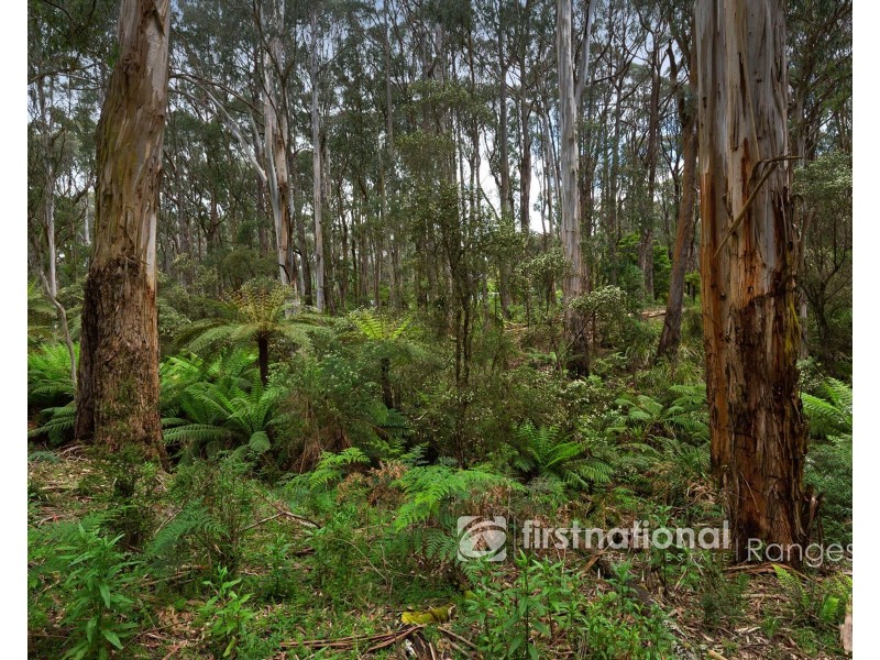 171 Stewart Road, Emerald VIC 3782