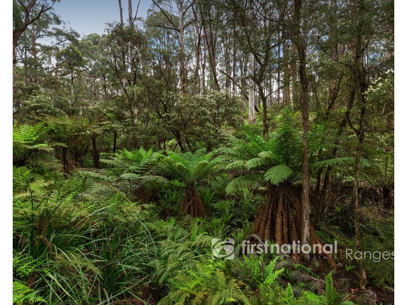 171 Stewart Road, Emerald VIC 3782