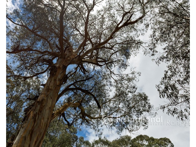 171 Stewart Road, Emerald VIC 3782