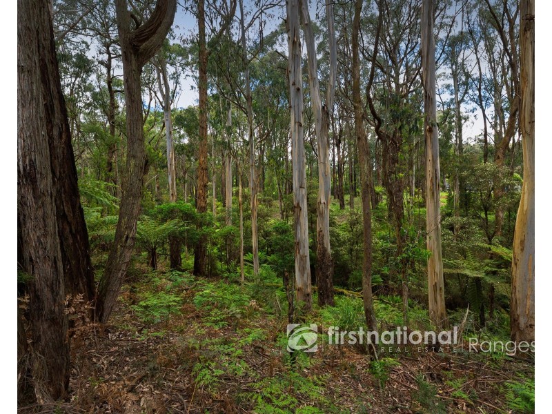 171 Stewart Road, Emerald VIC 3782