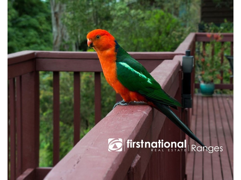 59 Kaola Street, Belgrave VIC 3160