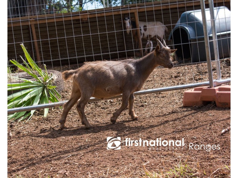 73 Emerald Creek Road, Monbulk VIC 3793