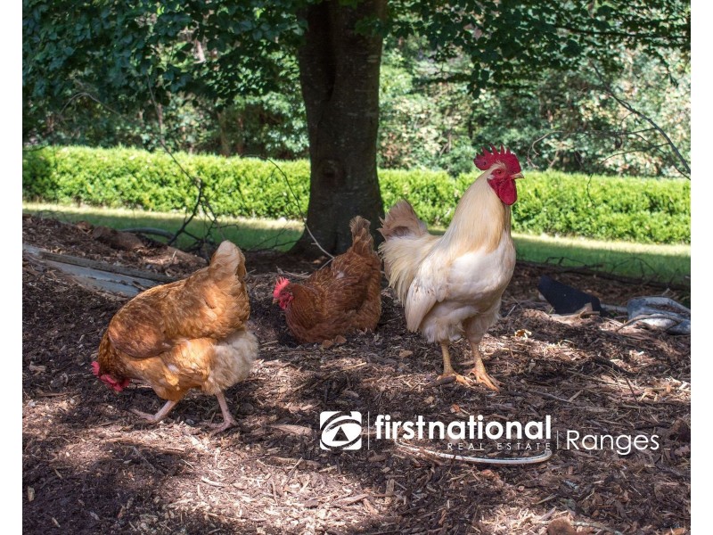 73 Emerald Creek Road, Monbulk VIC 3793