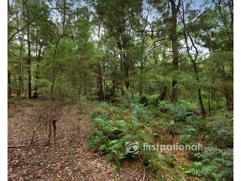 705 Woori Yallock Road, Nangana VIC 3781