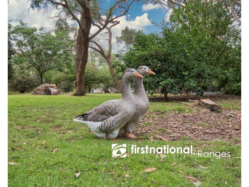 39 Courtneys Road, Belgrave South VIC 3160