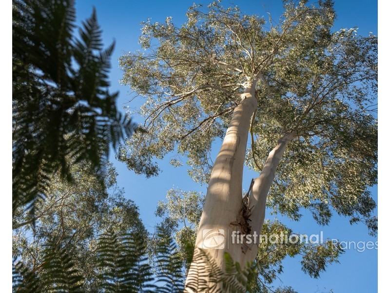 140 Beenak Road, Gembrook VIC 3783