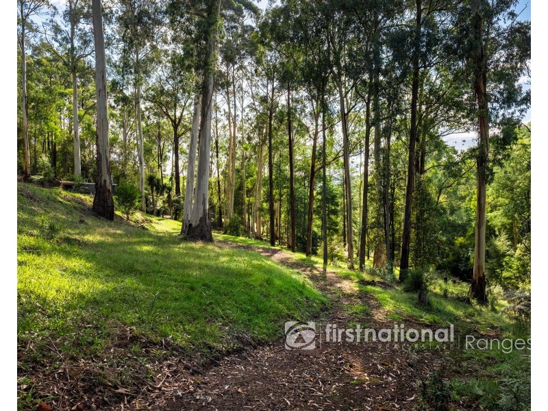 140 Beenak Road, Gembrook VIC 3783